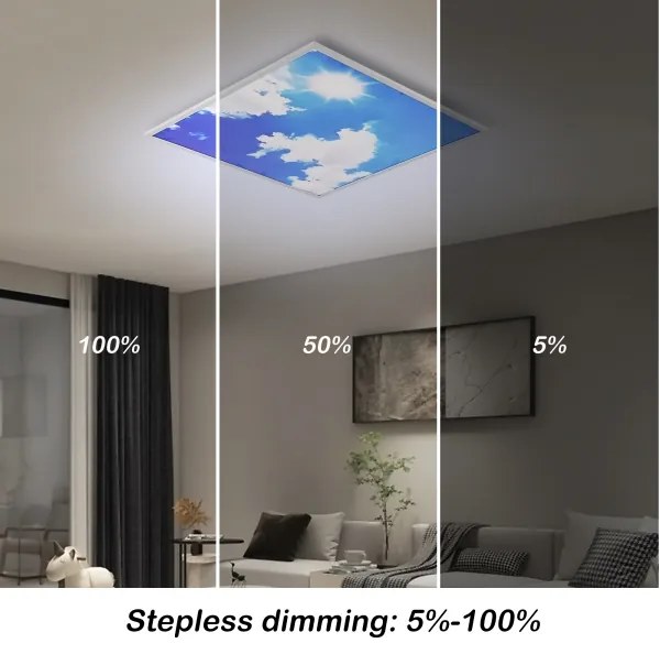 Brilagi-LED Dimmelhető lámpatest SLIMFRAME LED/58W/230V 60x60 cm ezüst/kék+távirányító