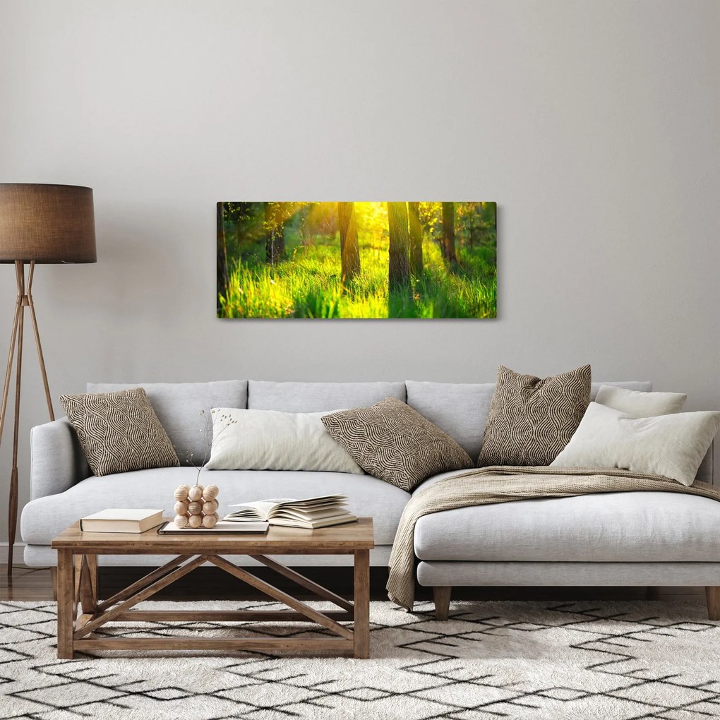 Kép - Az erdő tavaszi ébredése (120x50 cm)