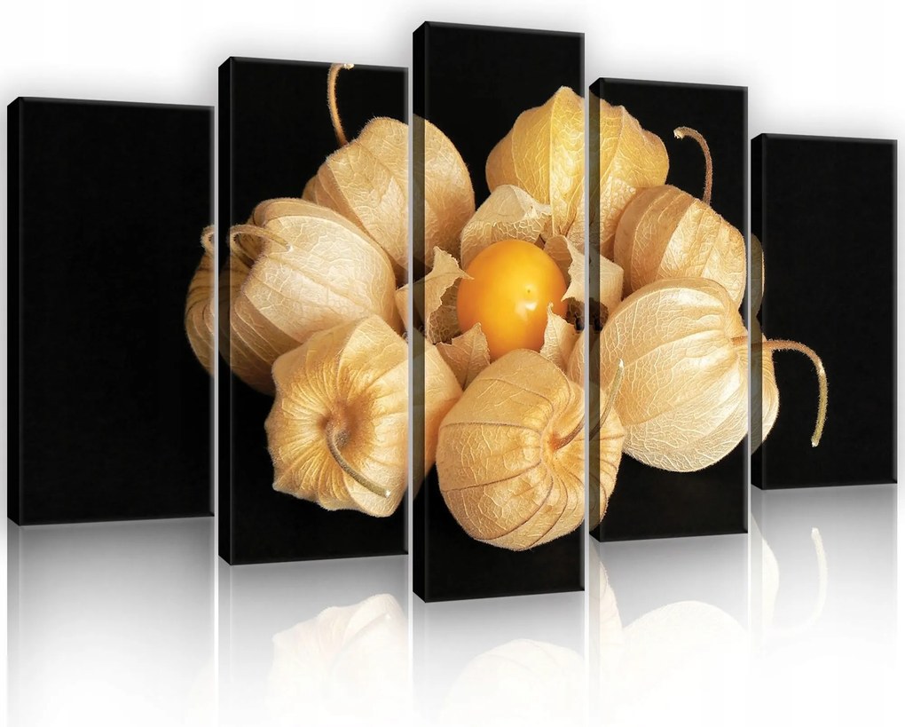 Vászonkép 100x60 Fizalis bogyók ősz csendélet meleg narancssárga