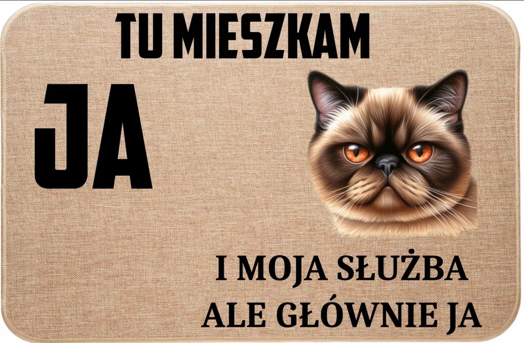 Lenvászon Lábtörlő Macskával Itt Lakom Én És A Szolgálatom, De Főleg Én 9