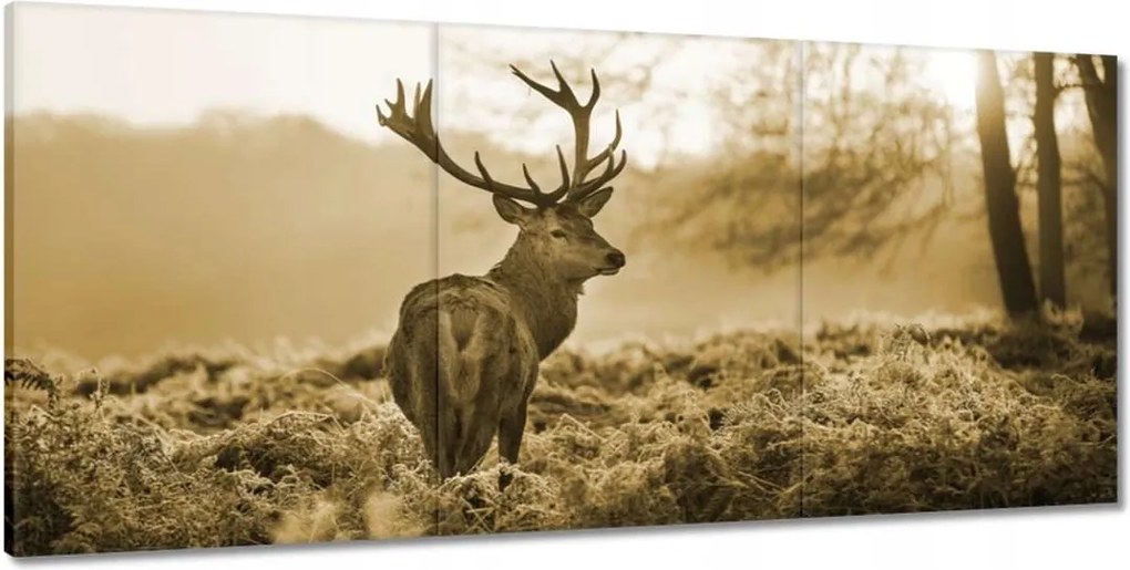 Képek 210x100 Szarvas az erdőben