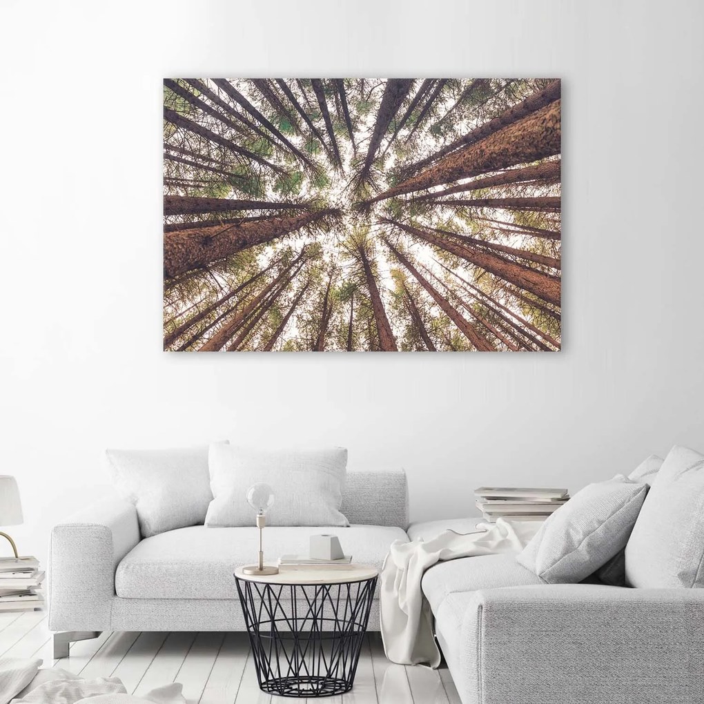 Gario Vászonkép Magas fenyok Méret: 100 x 70 cm