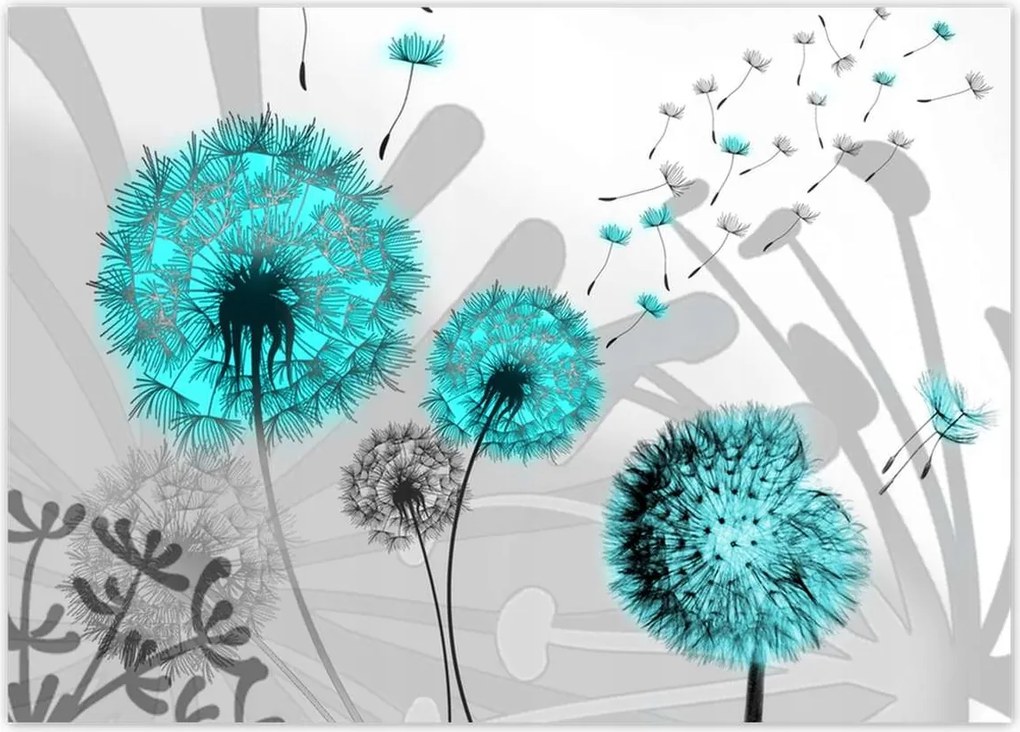 Poszterek 70x50 Türkiz pitypangok