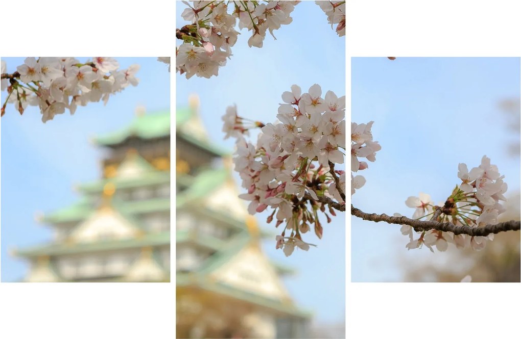 Kép - Sakura (90x60 cm)