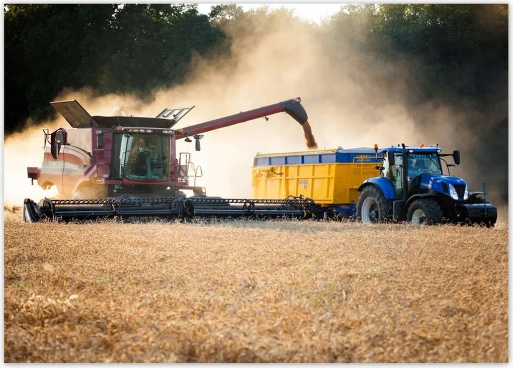 Poszterek 70x50 Aratás Kombájn Traktor
