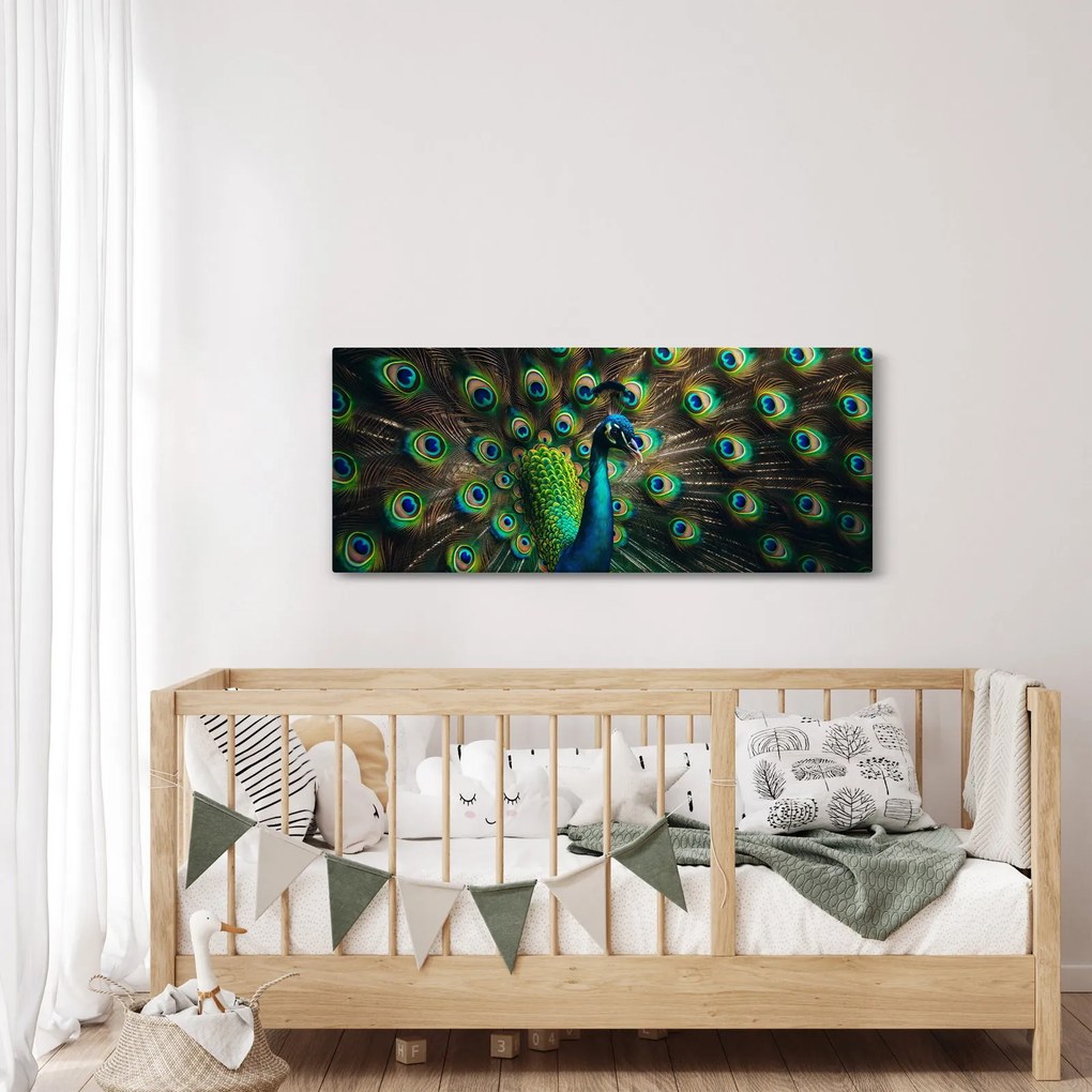 Kép – Pávatoll (120x50 cm)