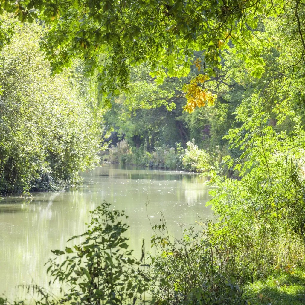 Poszter 40x40cm Basingstoke csatorna, Assaf Frank