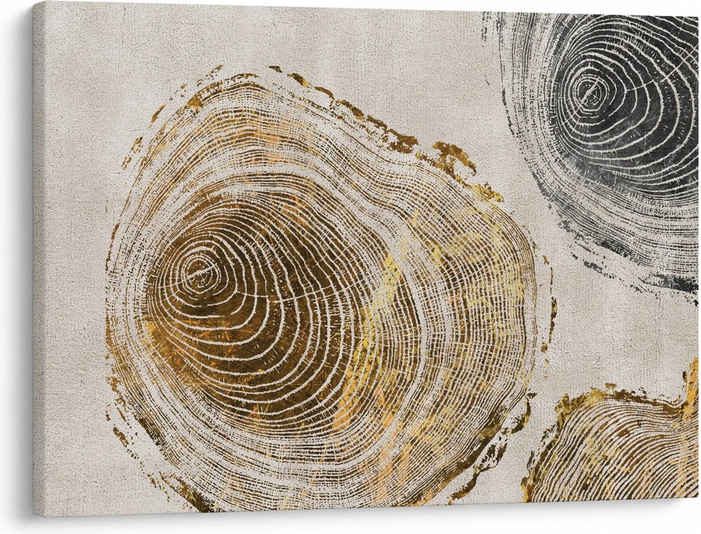 Kép - Törzsek absztrakciója (70x50 cm)