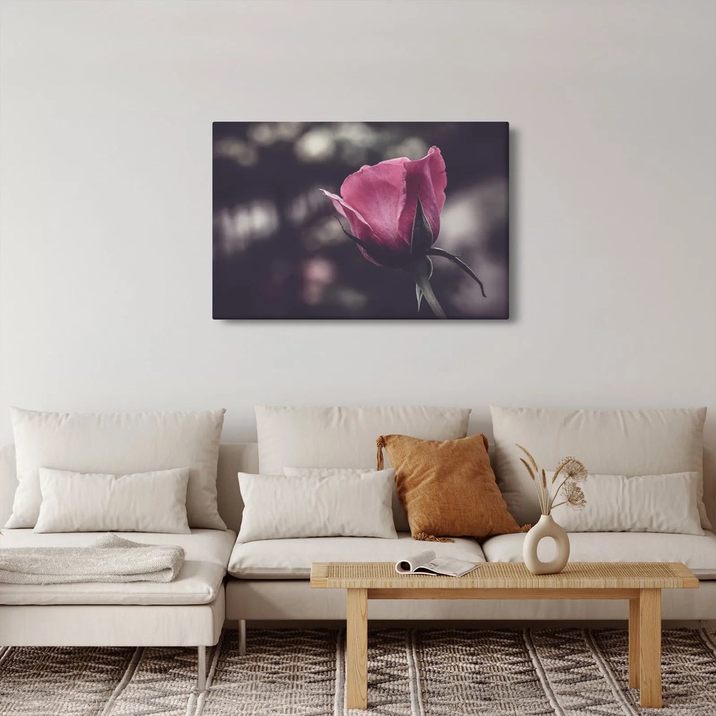 Kép - Rózsa virág részlete (90x60 cm)