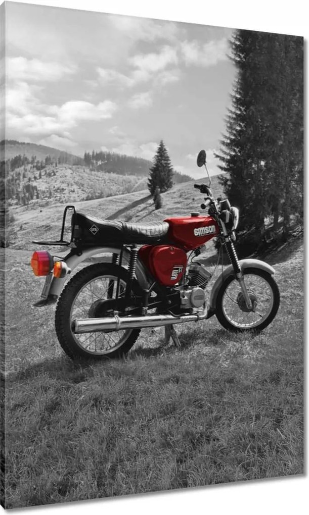 Vászonkép 70x100 Piros Simson S51 E