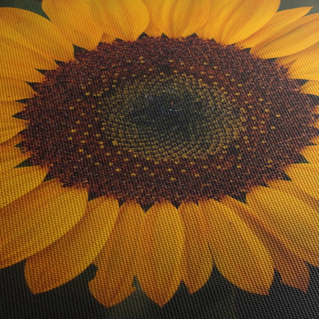 Kép - Napraforgók és a virágszirmok (órával) (90x30 cm)