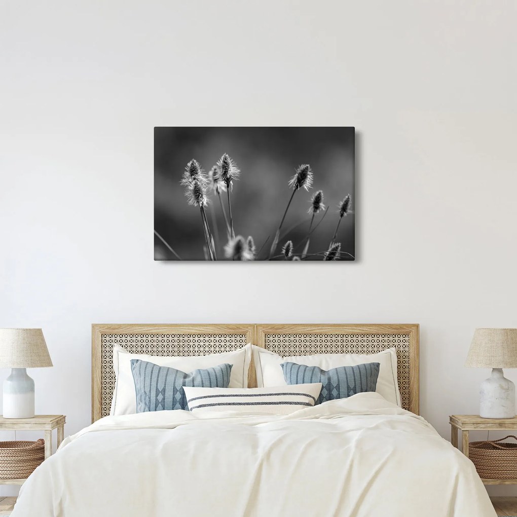 Kép - Bézs színű puha fű N⁰2 (90x60 cm)