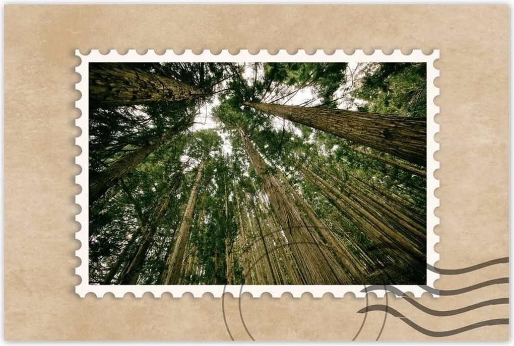 Poszterek 90x60 Fák