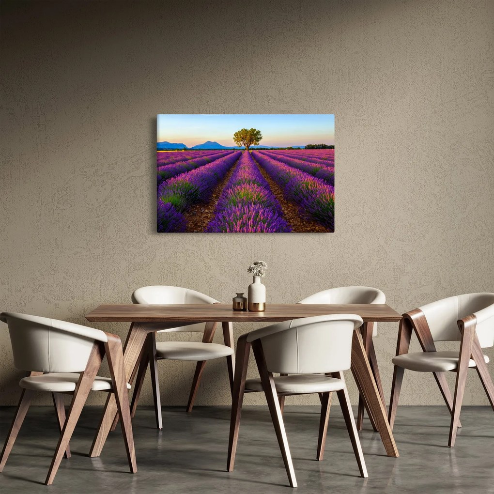 Kép - Levendula mező (90x60 cm)