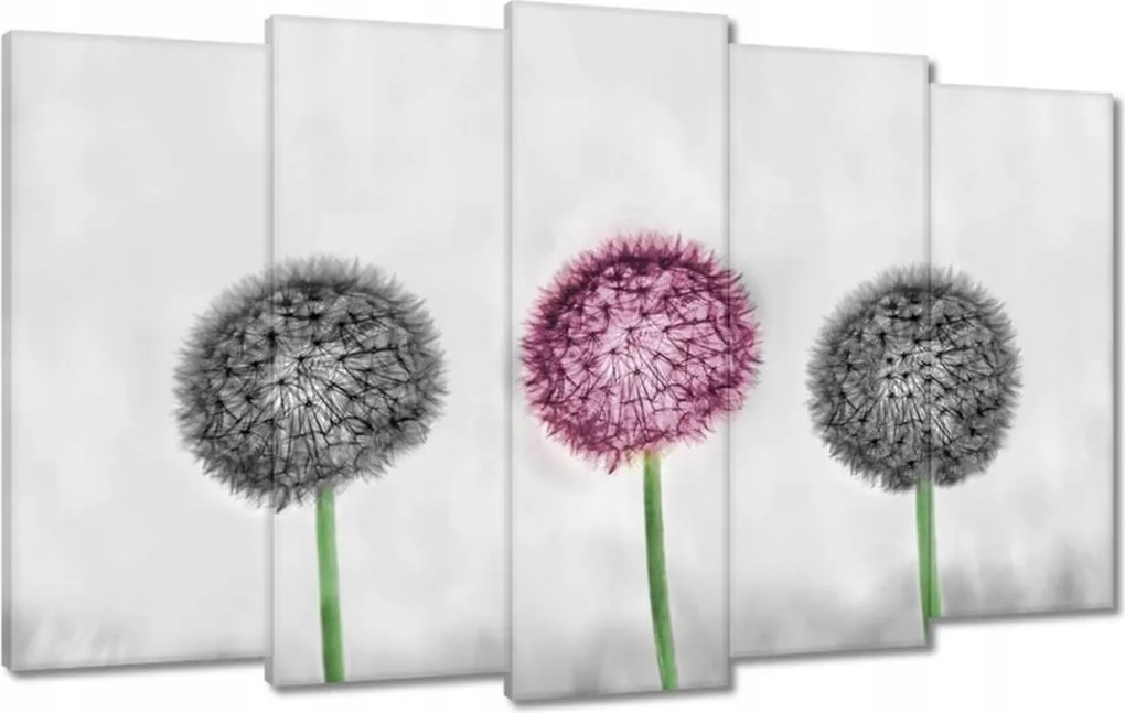 Vászonkép 100x60 Pitypangok