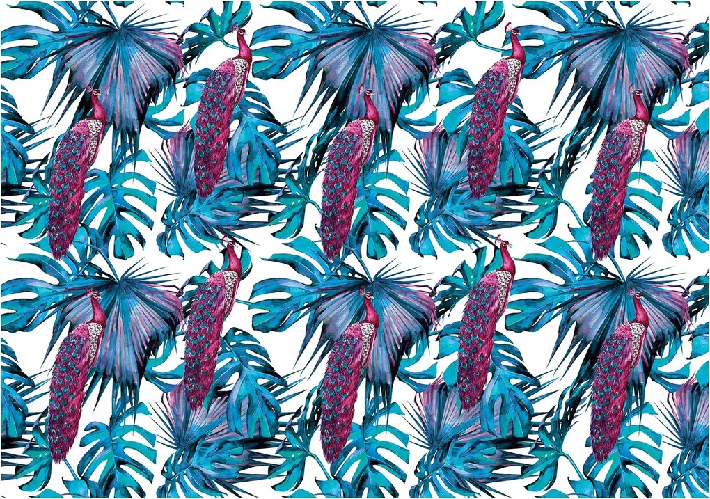 Fotótapéta Páva a trópusokon kék és rózsaszín vinil 368x254 +ragasztó