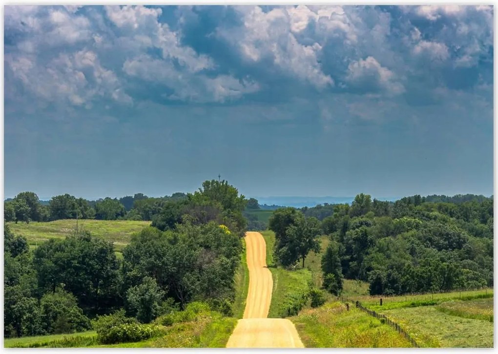 Poszterek 100x70 Út Rét Mező Erdő