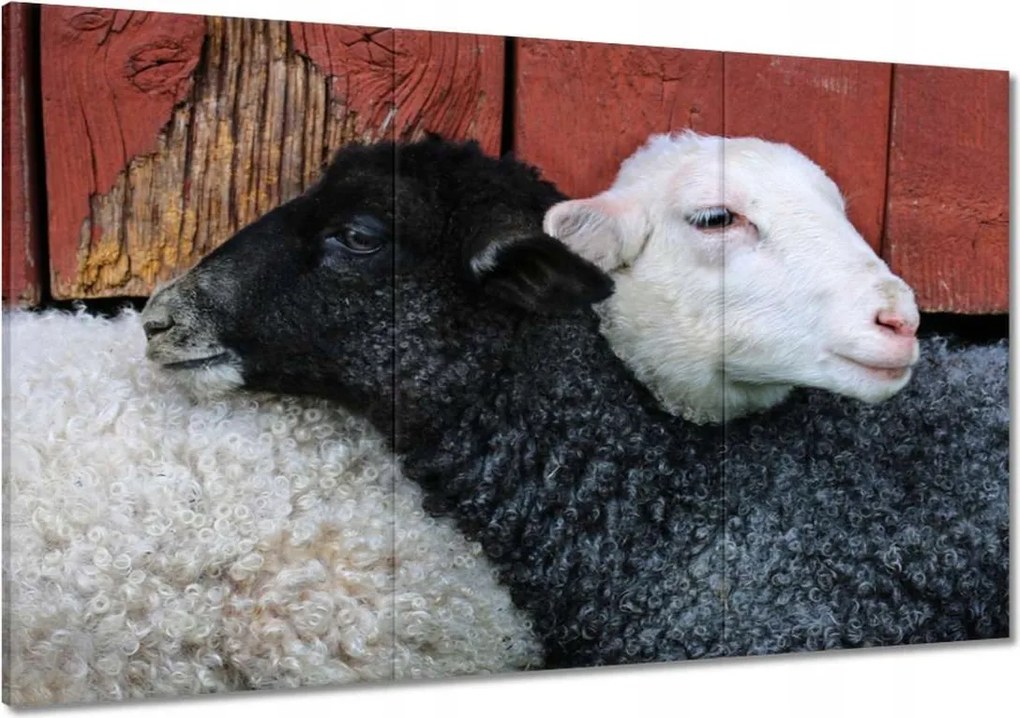 Festmények 120x80 Szerelem Érzés Párkapcsolat