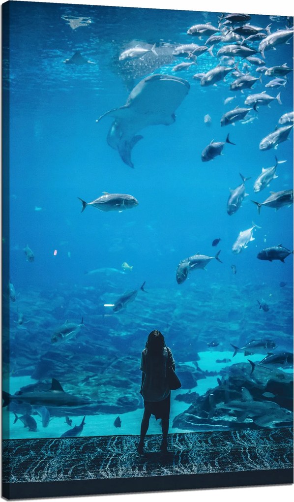 Vászonkép Emberek Akvárium Víz Tengeri Óceán Élet 70x120 cm