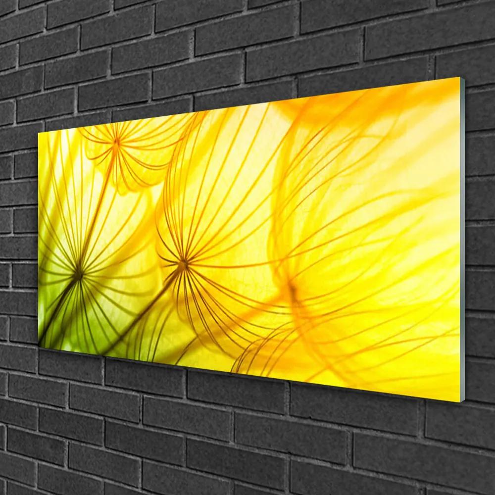 Üvegkép Pitypang Virágok Természet 100x50 cm