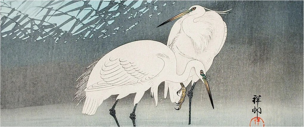 Fotótapéta Flizelin Dekoratív az irodába Finom madarak 250x104 Ragasztó