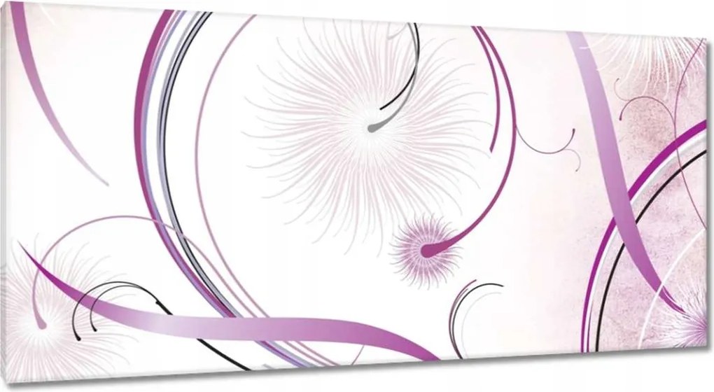 Vászonkép 115x55 Csavaros pitypangok