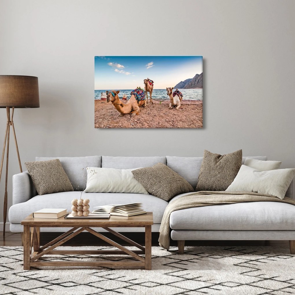 A tevék képe (90x60 cm)