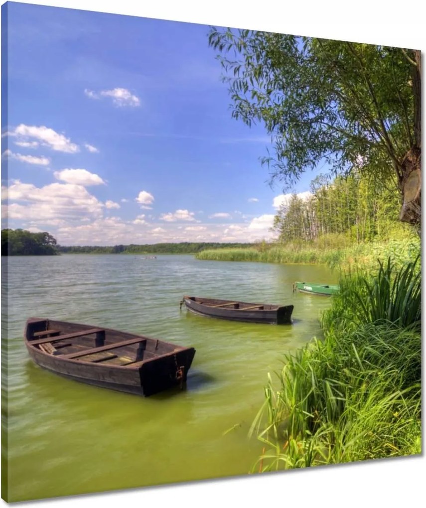 Vászonkép 60x60 Séta a Wolsztyn parkban