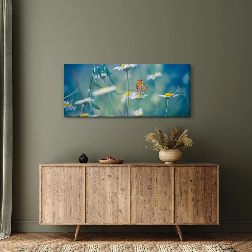 Kép - pillangó a százszorszépen (120x50 cm)