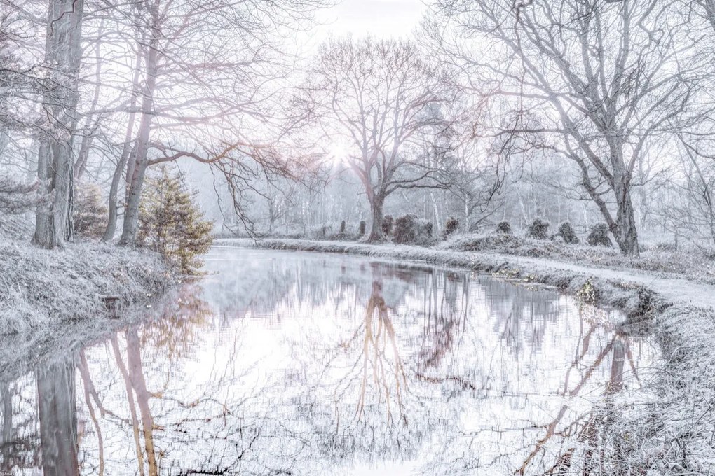 Poszter 60x40cm Csatorna fákkal, Assaf Frank