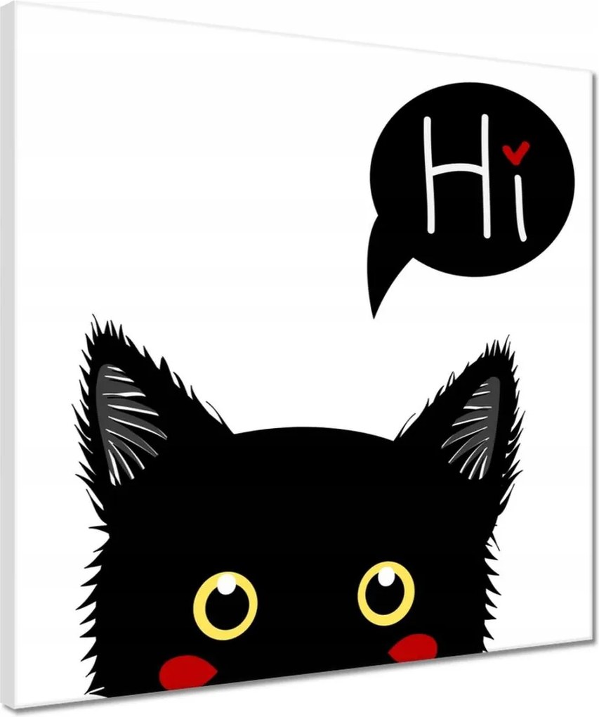 Vászonkép 40x40 Cica