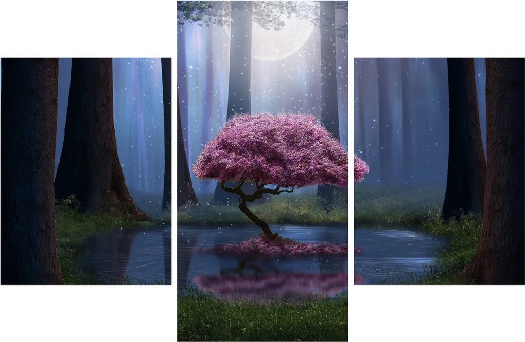 Kép - Varázslatos éjszaka (90x60 cm)