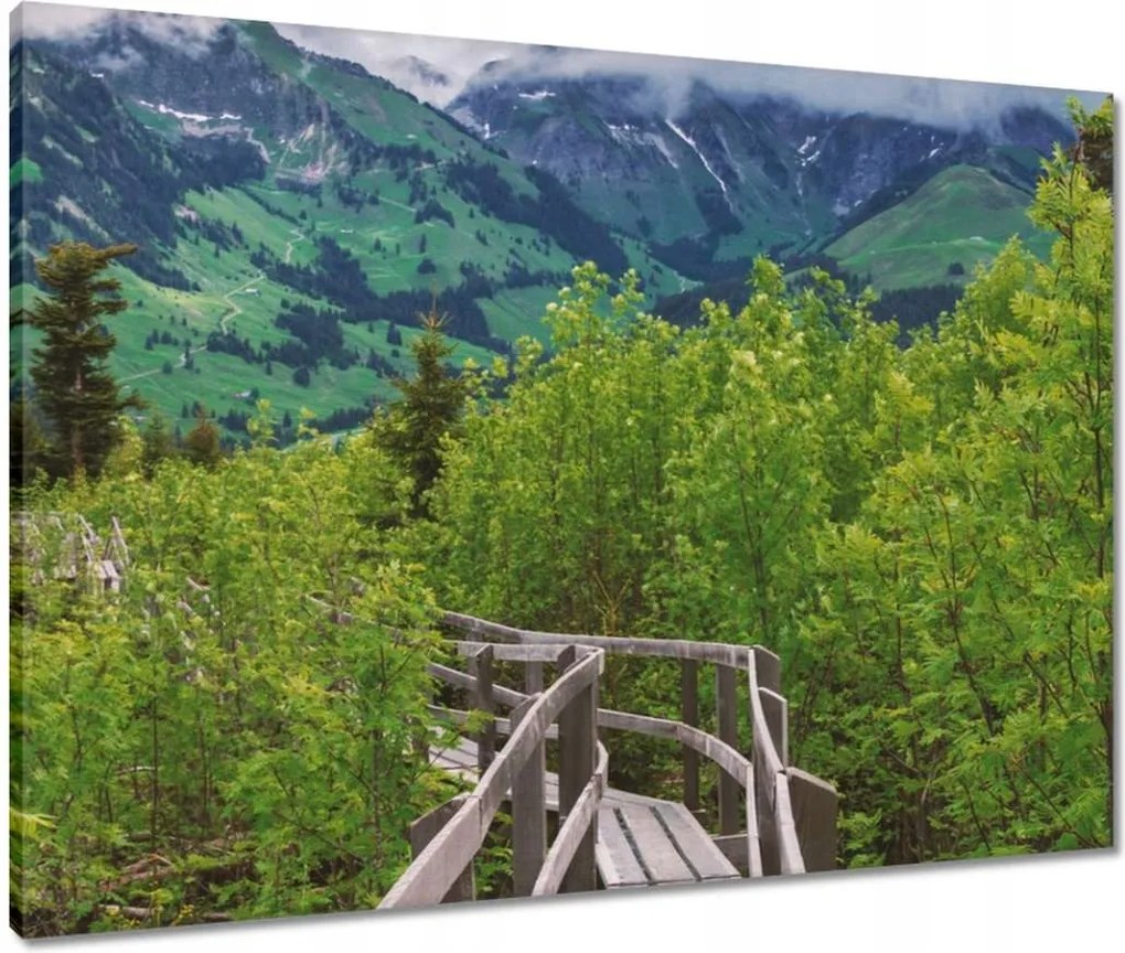 Vászonkép 80x60 Híd Építészet Tájkép