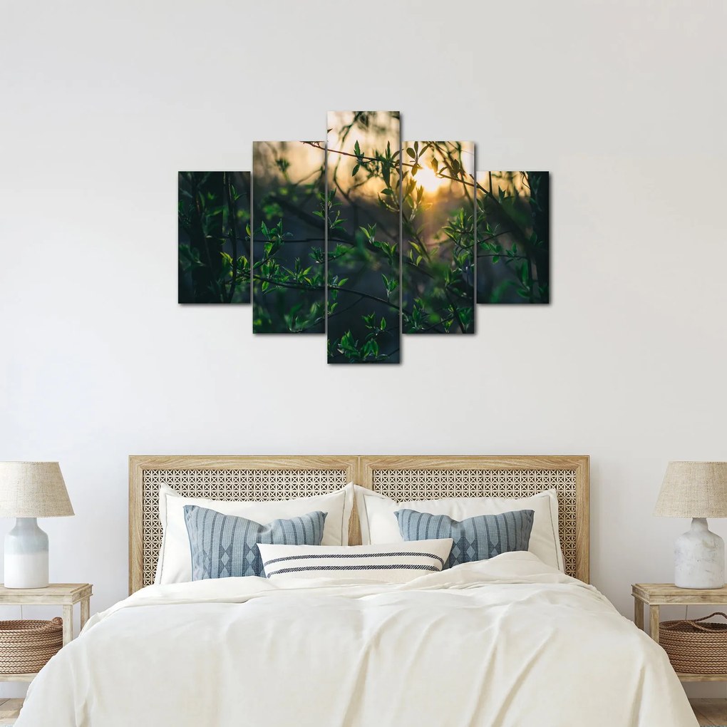 A ragyogó nap képe a fák gallyain keresztül (150x105 cm)