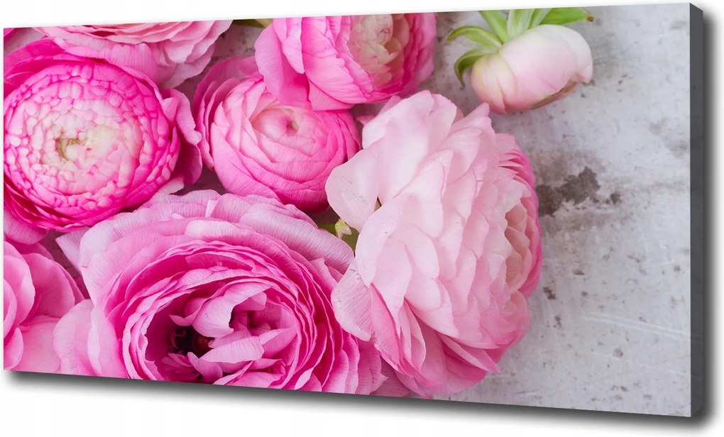 Canvas falikép Vad rózsák 120x60 cm