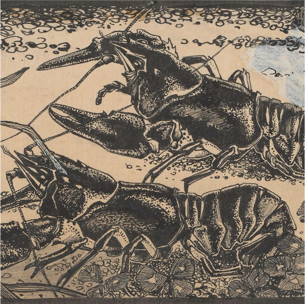 Flizelin tapéta falra Prémium vízrákok 250x250 ragasztó