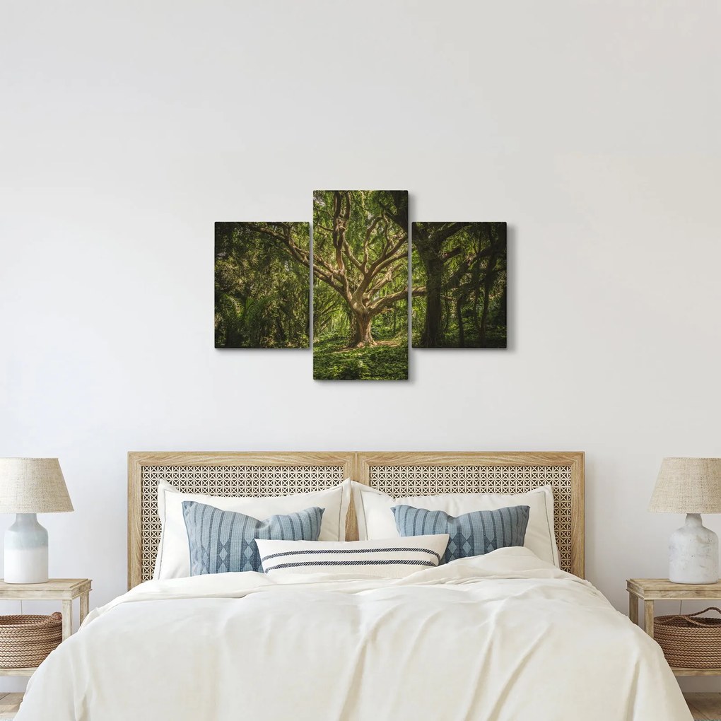 Fa képe (90x60 cm)
