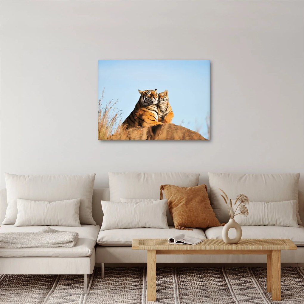 Kép - Tigris és a kölyke (70x50 cm)