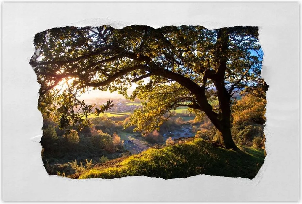 Poszterek 60x40 Kilátás a völgyre