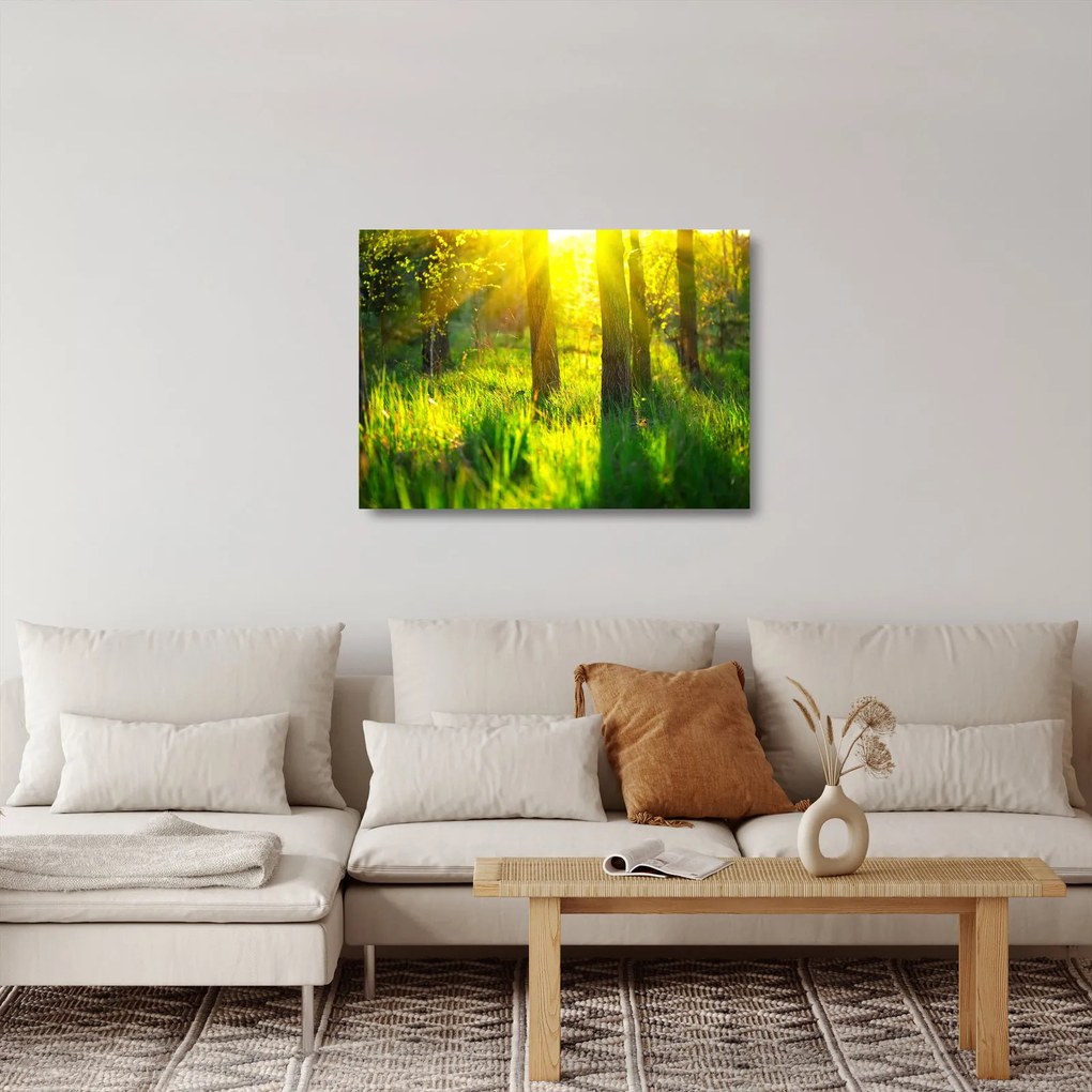 Kép - Az erdő tavaszi ébredése (üvegen) (70x50 cm)