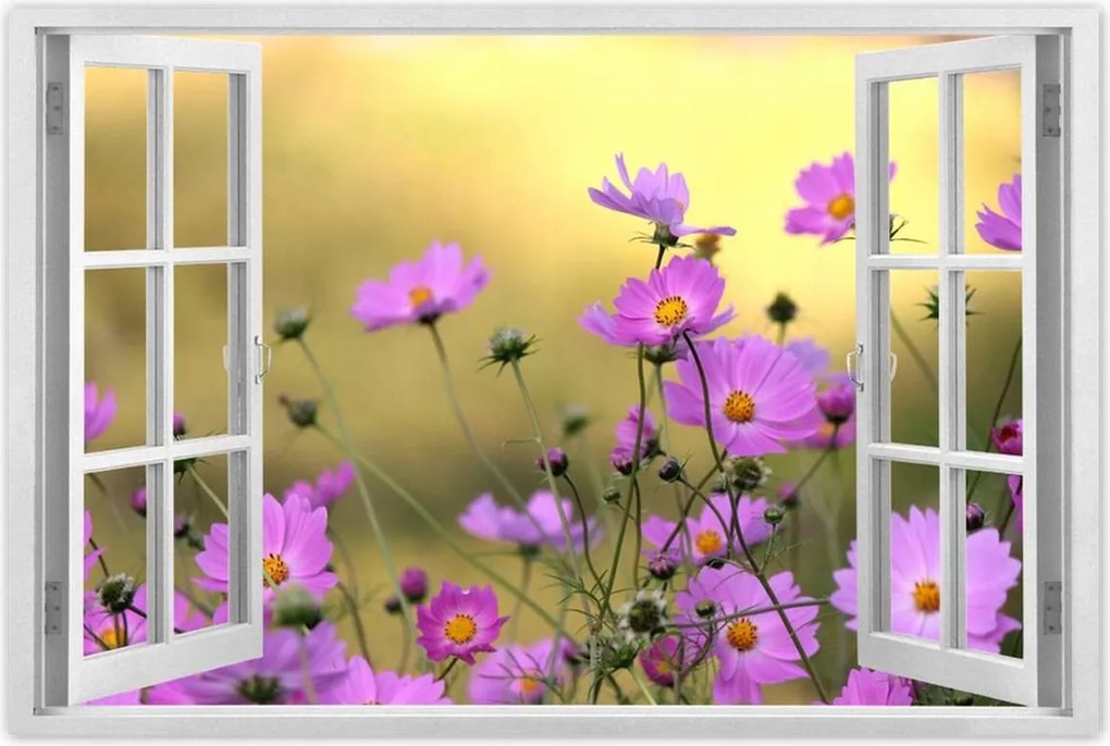 Poszterek 60x40 Finom virágok a réten