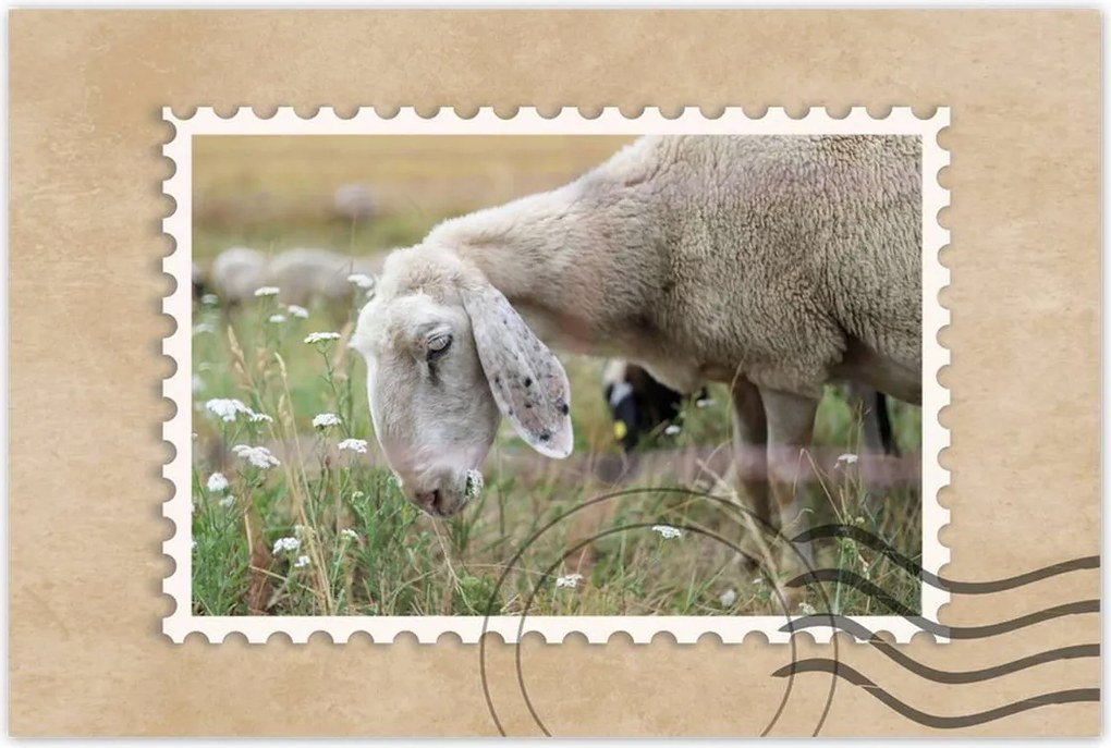 Poszterek 120x80 Bárány a legelőn