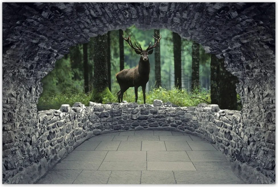 Poszterek 120x80 Szarvas az erdő közepén