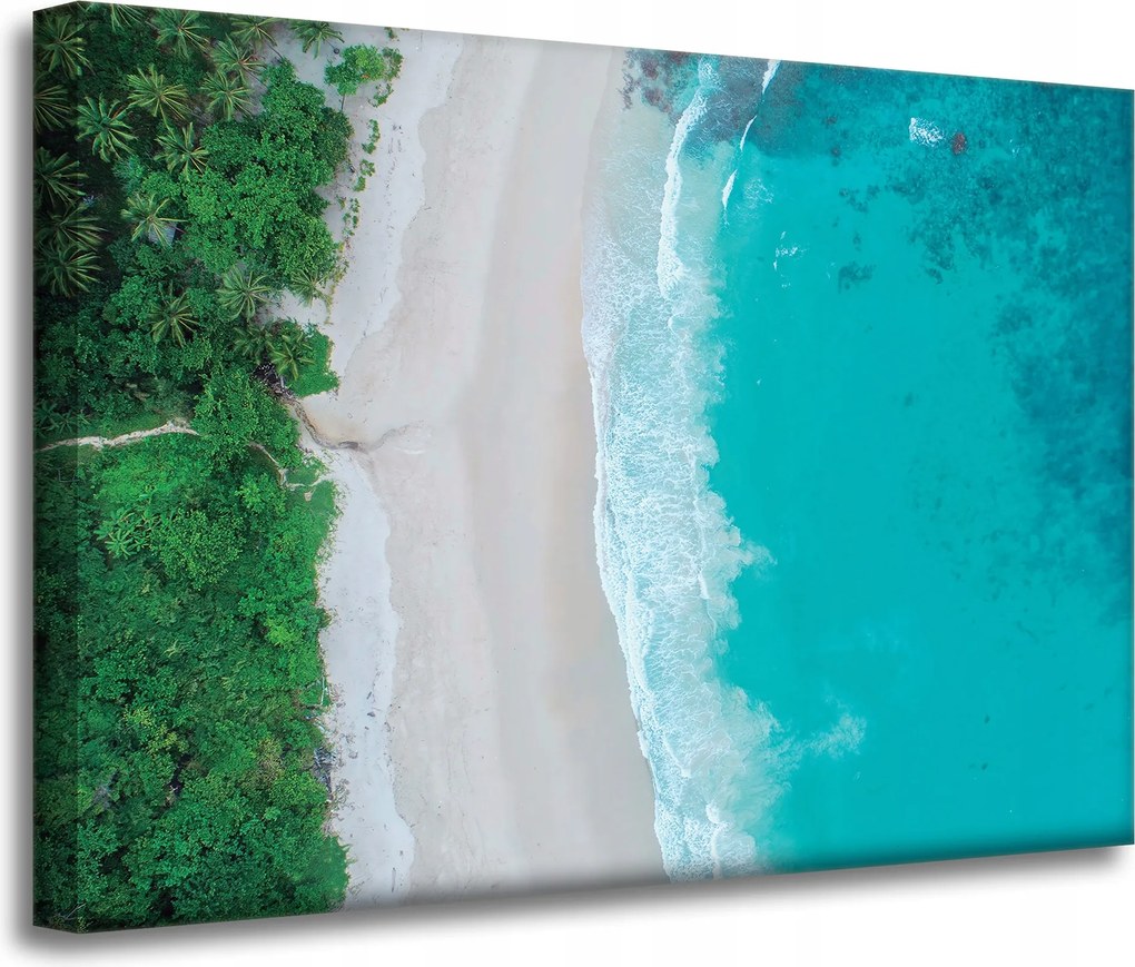 Vászonkép Víz Hullámok Tengerpart Fák Természet 70x50 cm