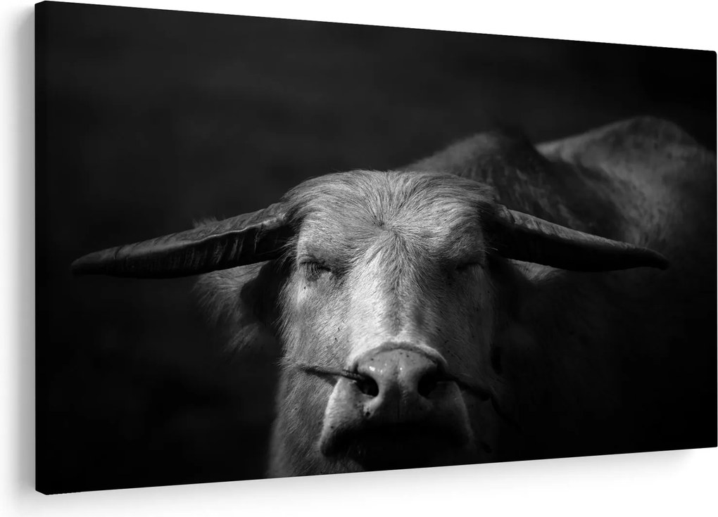 Kép - Tehén (90x60 cm)