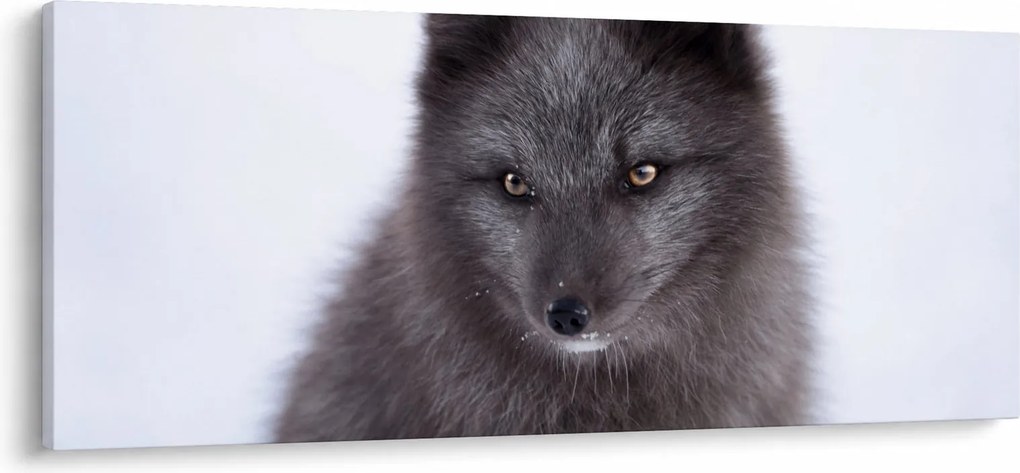 Róka képe (120x50 cm)