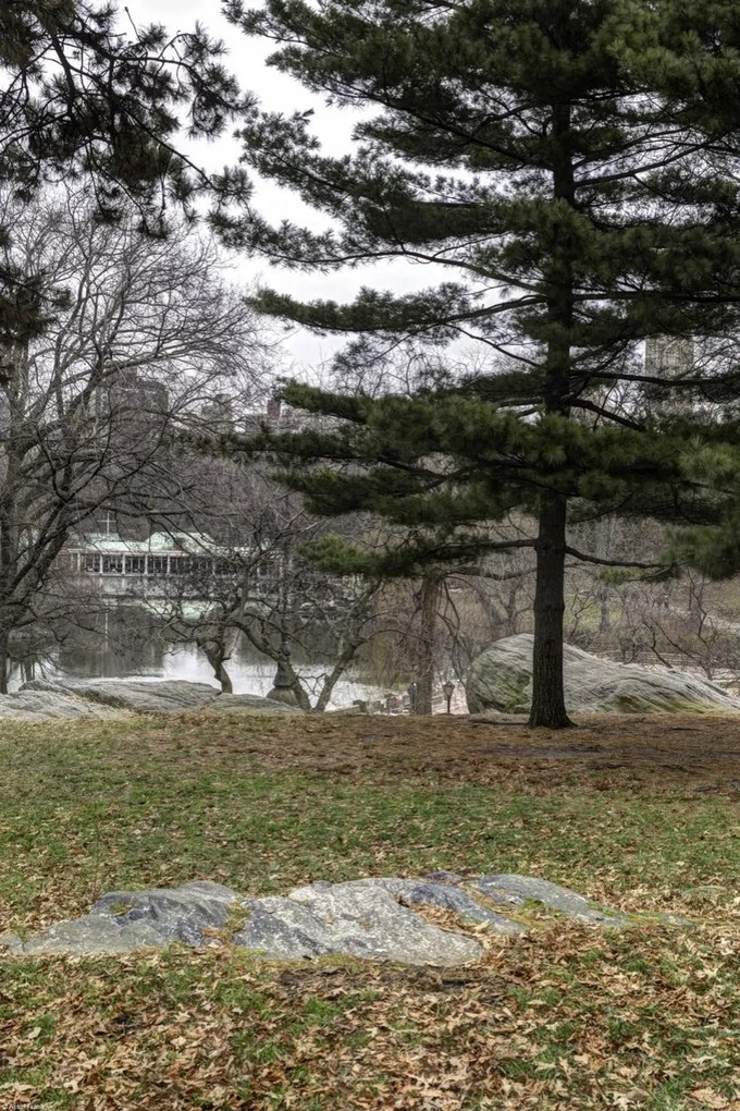 Poszter 30x45cm Central Park, New York, Assaf Frank