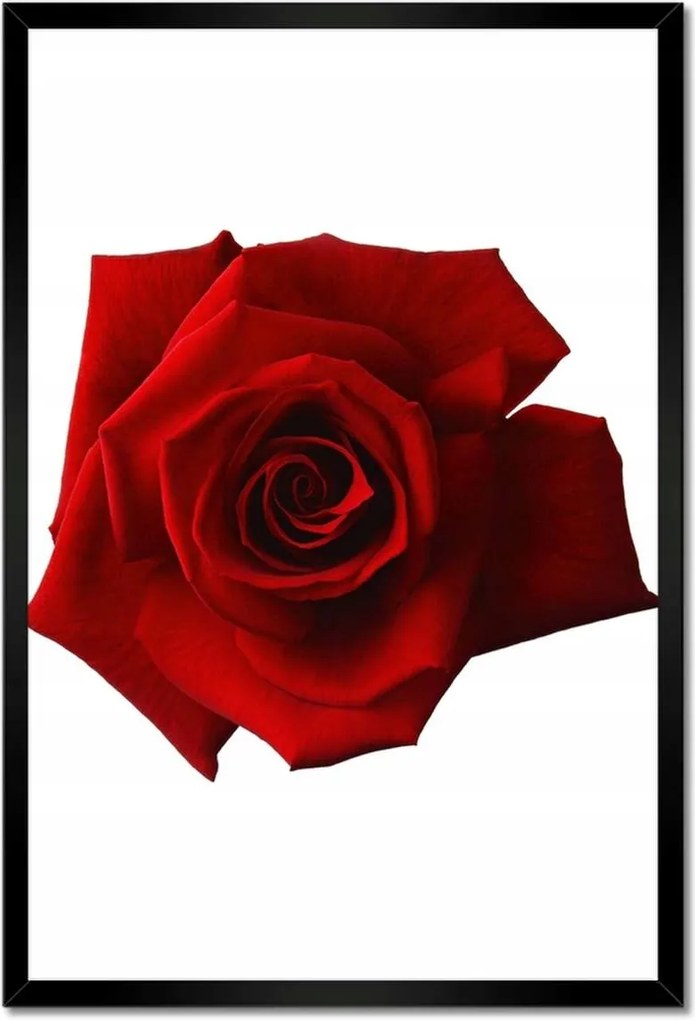 Poszterek keretben 40x60 Nőnap Ajándék Love