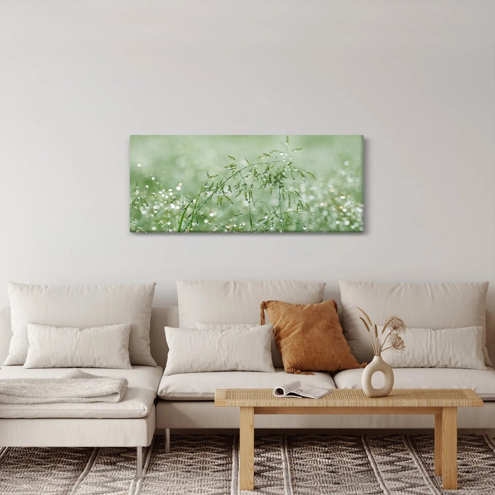 Kép - Reggeli harmat a fűszálakon (120x50 cm)