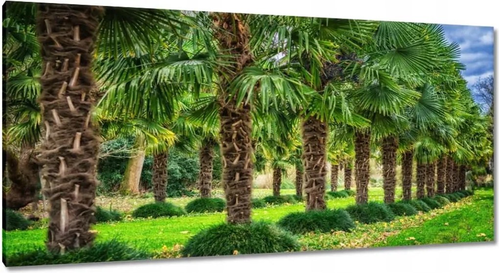 Festmények 115x55 Tájkép